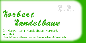 norbert mandelbaum business card